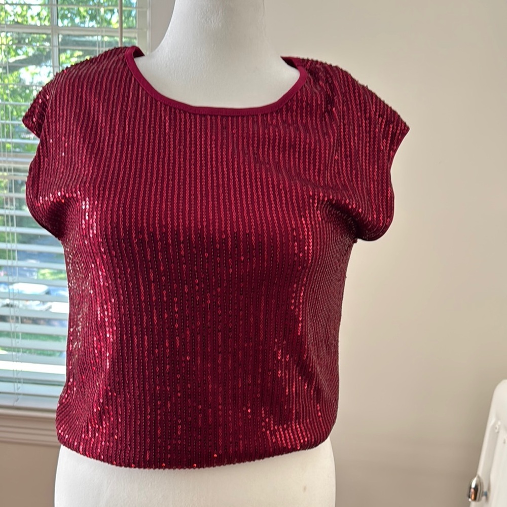 Amazon Essentials Red Sequin Ribbed Crop Top